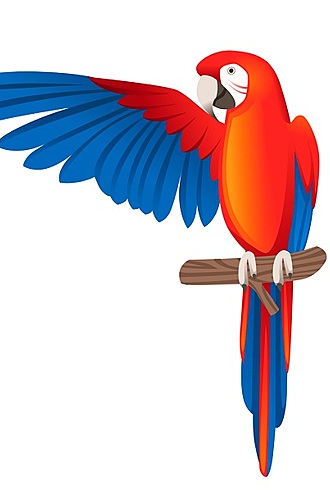 Le perroquet the parrot
